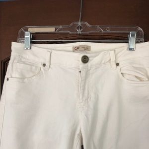 CABI jeans